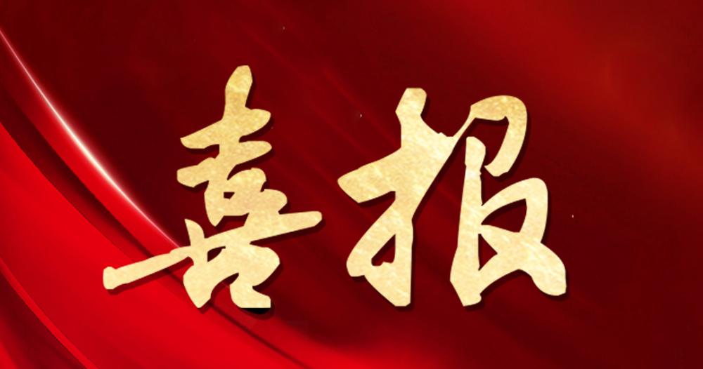 喜報 | 杭州園林股份獲評“2024年度杰出貢獻獎”